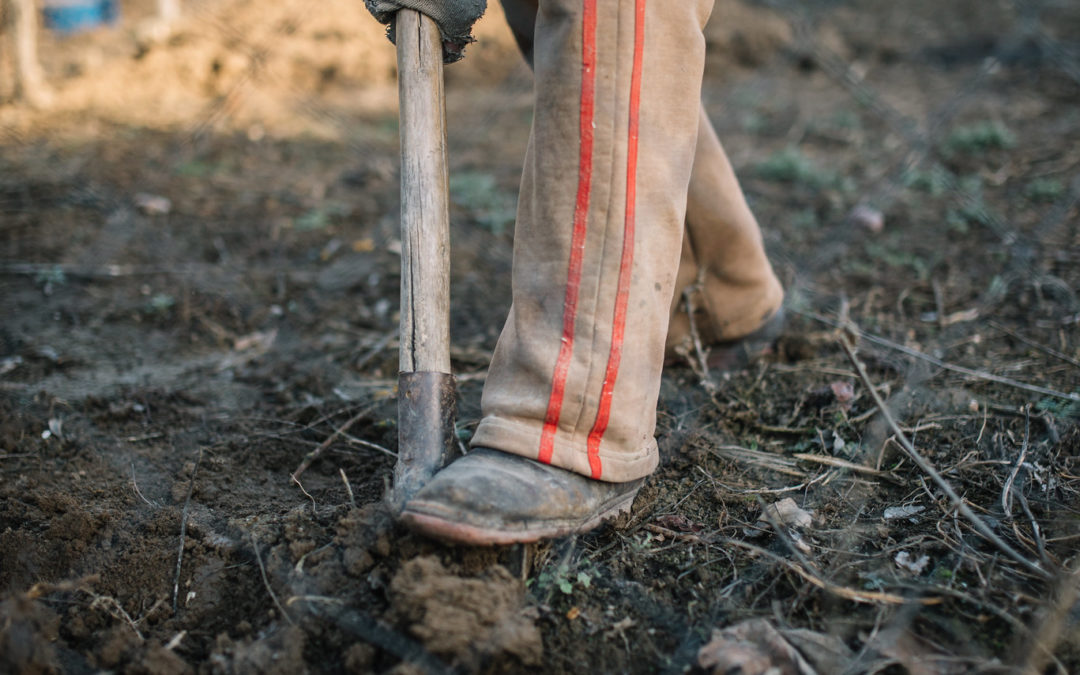 "A man digs the ground with a shovel" by Nenad Stojkovic is licensed under CC BY 2.0