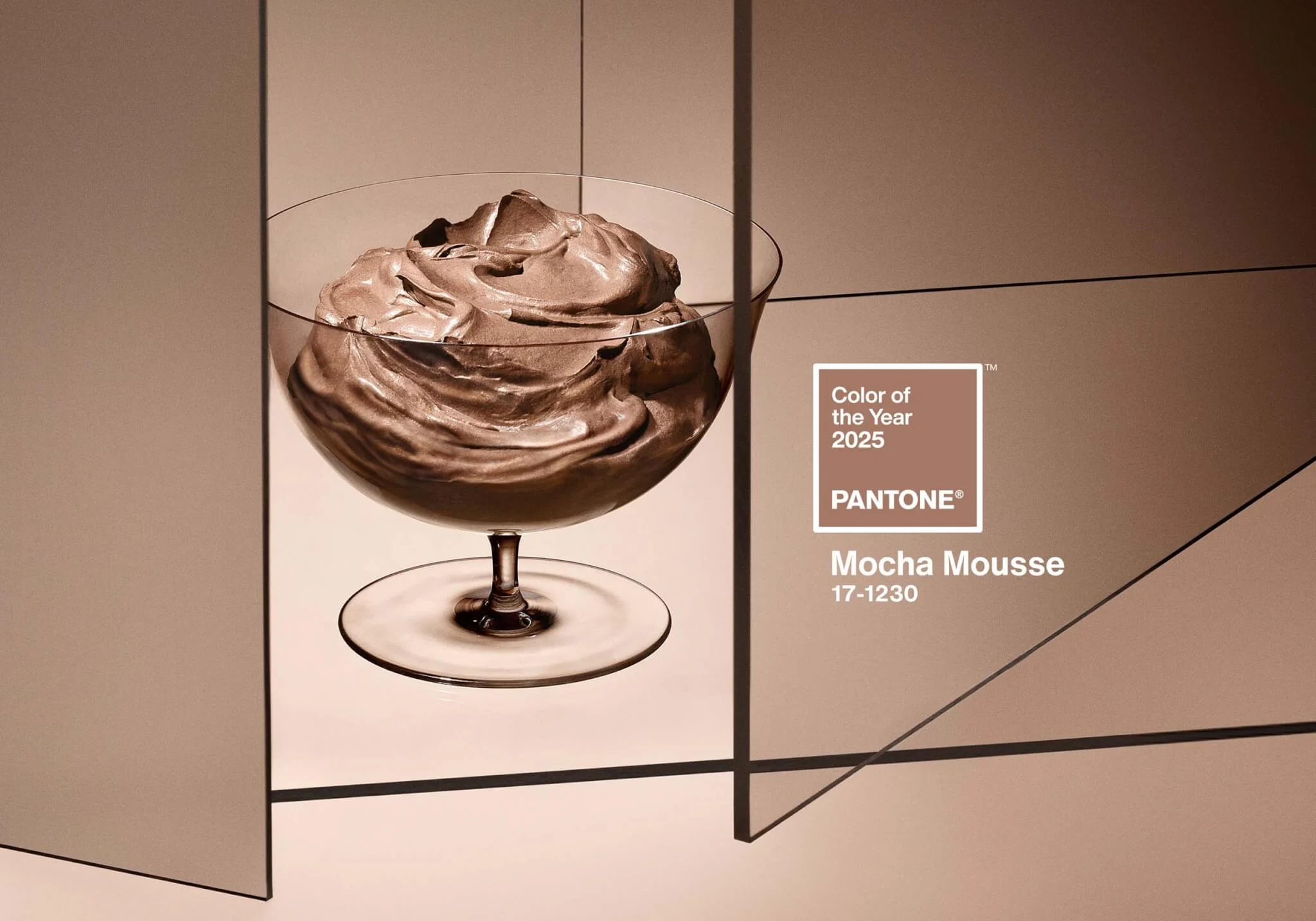 Pantone Color of the Year 2025: PANTONE 17-1230 Mocha Mousse Color